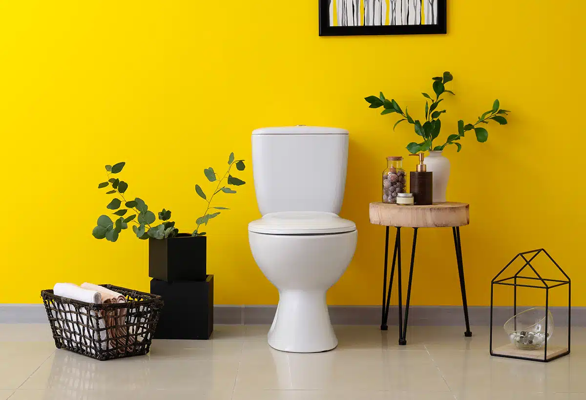 Carrelage WC tendance les couleurs de peinture idéales pour un espace sans fenêtre